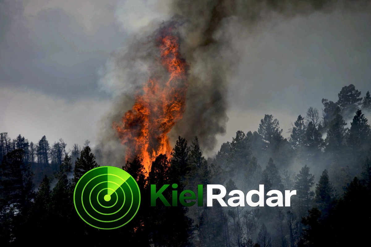 Waldbrandgefahr in Kiel: Wie gefährlich ist es aktuell?